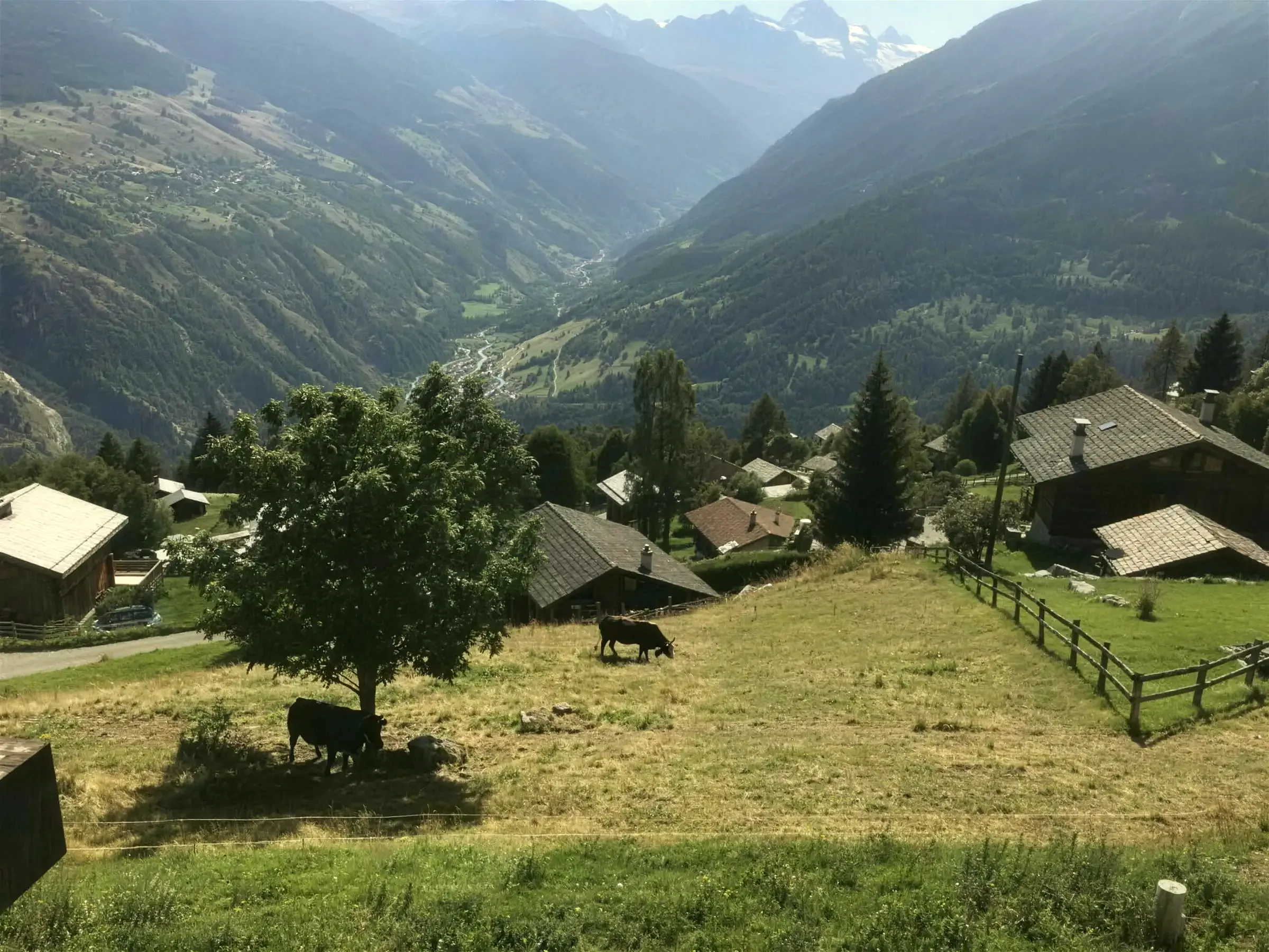 Valley and chalets near Les Collons in summer